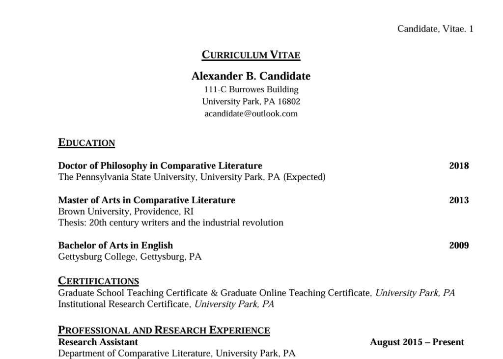 Photo of the CV Example