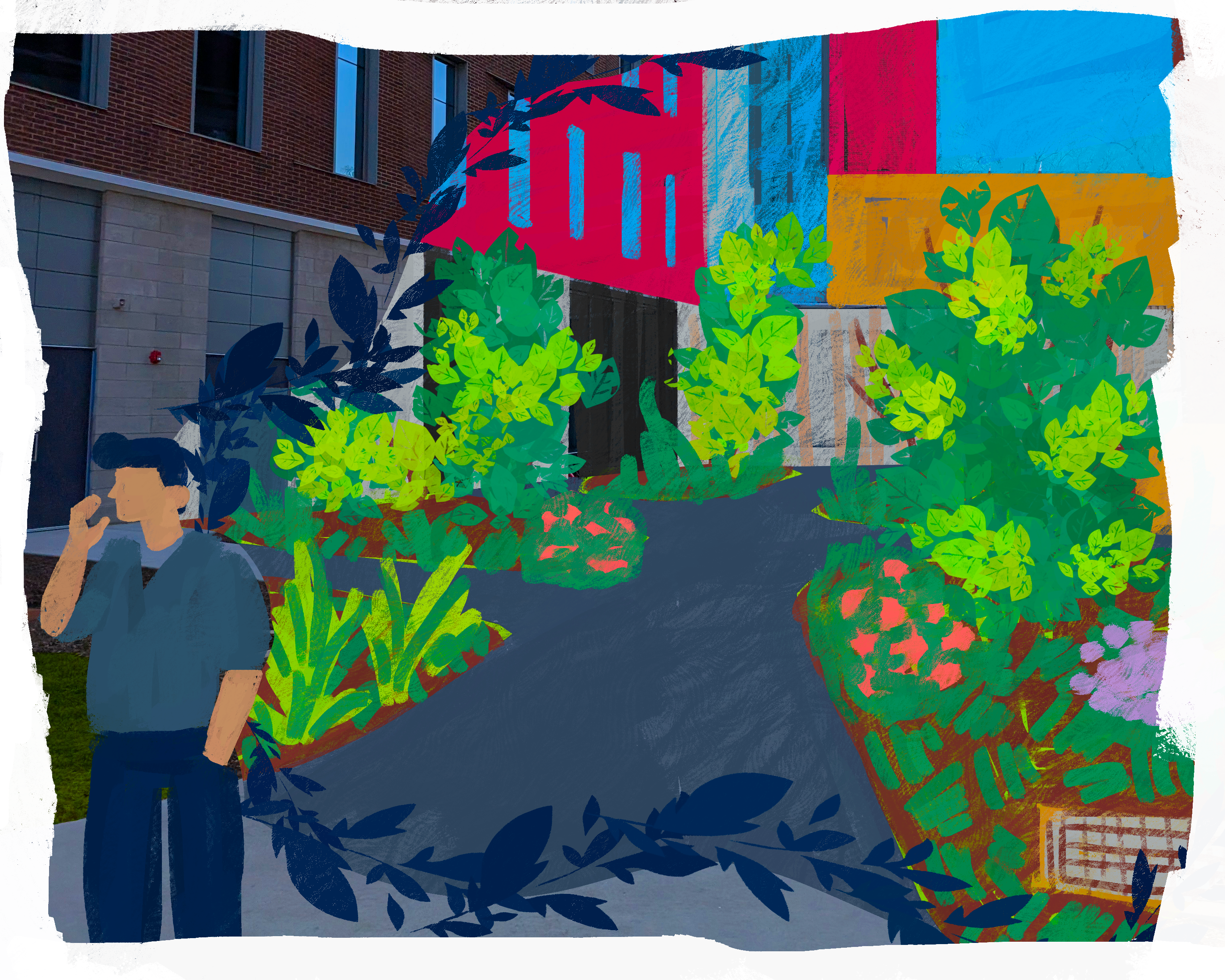 Shady Display Gardens 13illustrationsdfadfasdf