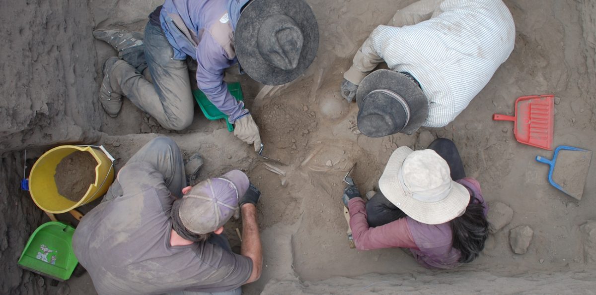 Liberal Arts students and faculty complete archeological research.