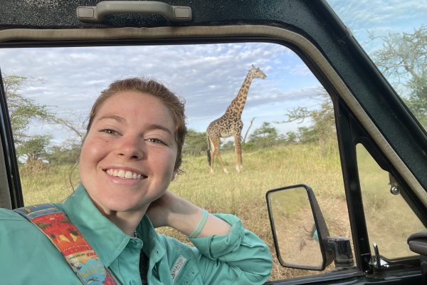 Student Abigail Frey on safari in Tanzania with a giraffe out the window of her car